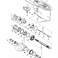 Gear Housing (Propeller Shaft) (Standard Rotation)