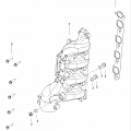 Exhaust Manifold